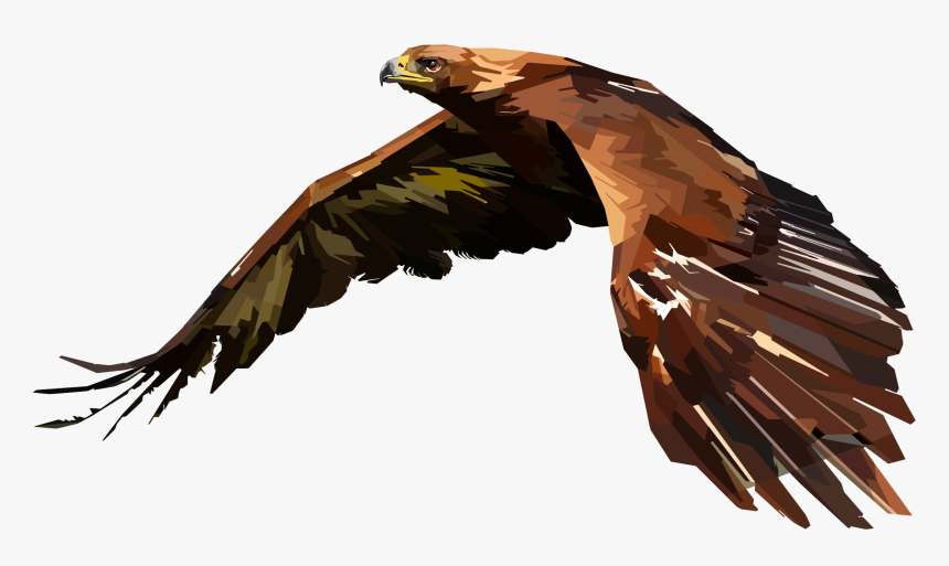 Transparent Albatross Clipart - Eagle Wings Drawing Geometric, HD Png Download, Free Download