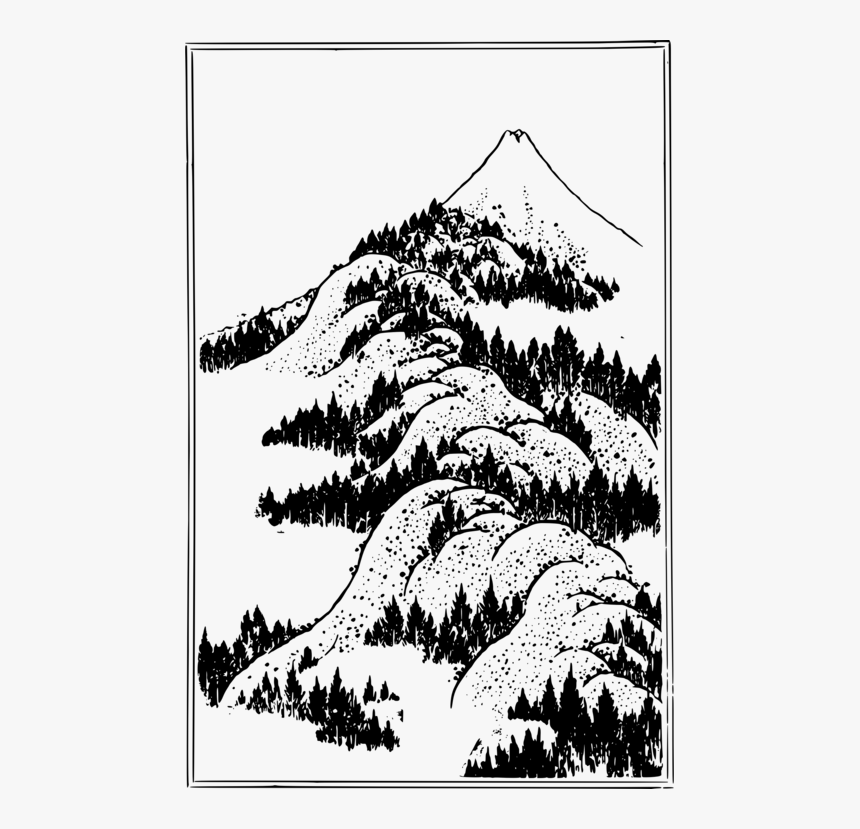 Pine Family,plant,flora - Mount Fuji Line Art, HD Png Download, Free Download