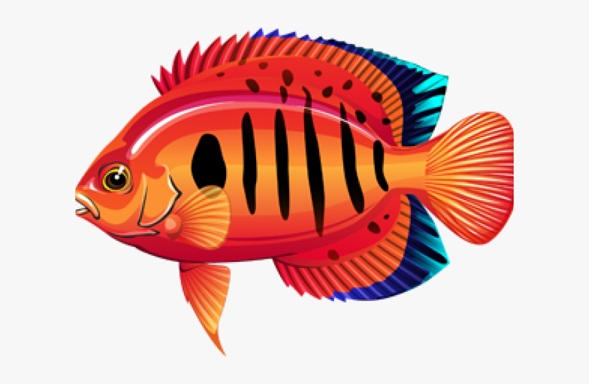 Free Download Clip Art - Coral Reef Fish, HD Png Download, Free Download