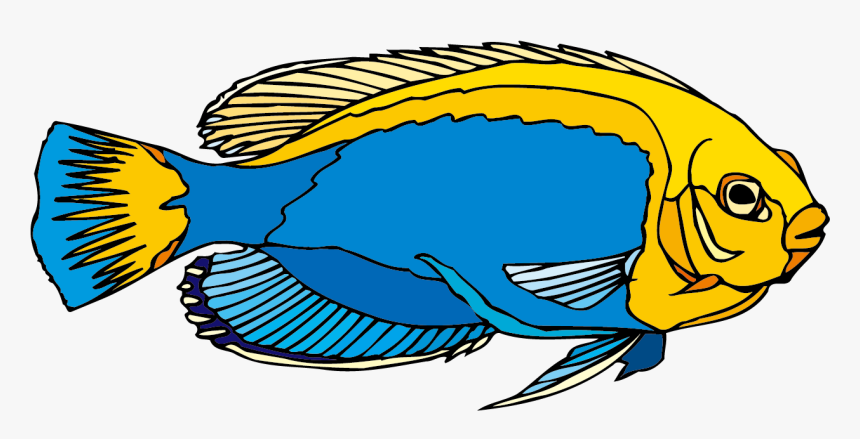 Angelfish Clipart Blue Yellow Fish - Ikan Hias Kartun, HD Png Download, Free Download