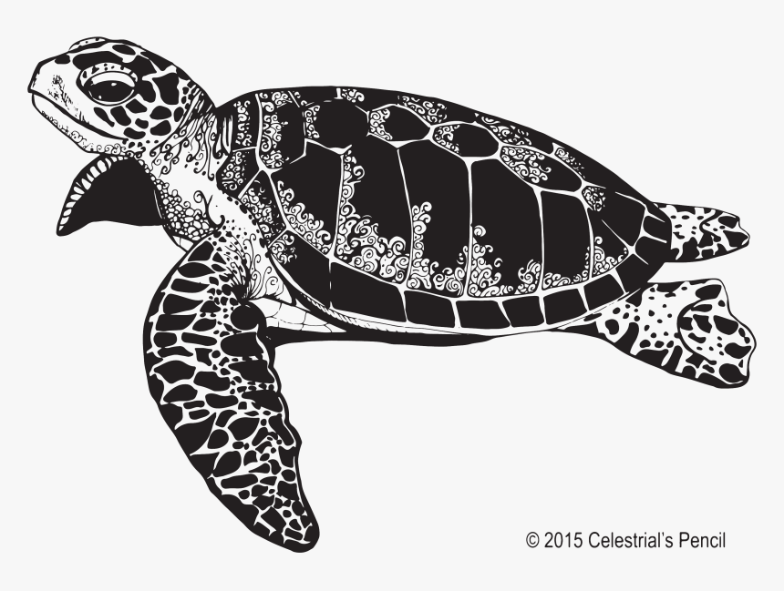 Transparent Sea Turtle Clip Art - Sea Turtle Png Black And White, Png Download, Free Download