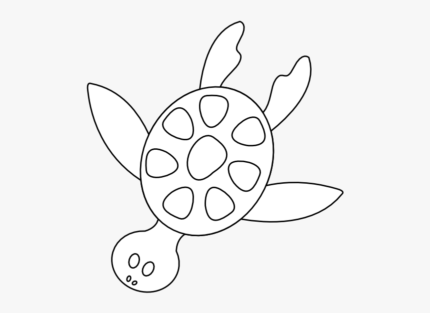 Colorful Animal Sea Turtle Black White Line Art 555px - Cartoon, HD Png Download, Free Download
