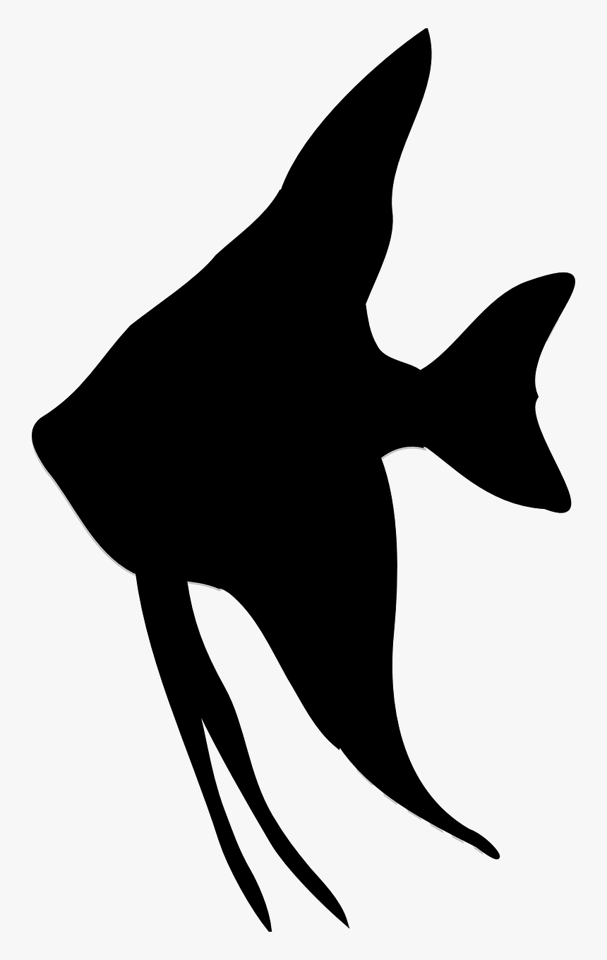 Saltwater Fish Fish Silhouette, HD Png Download, Free Download