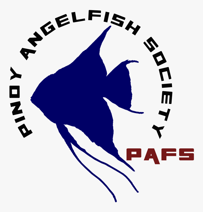 Angelfish, HD Png Download, Free Download