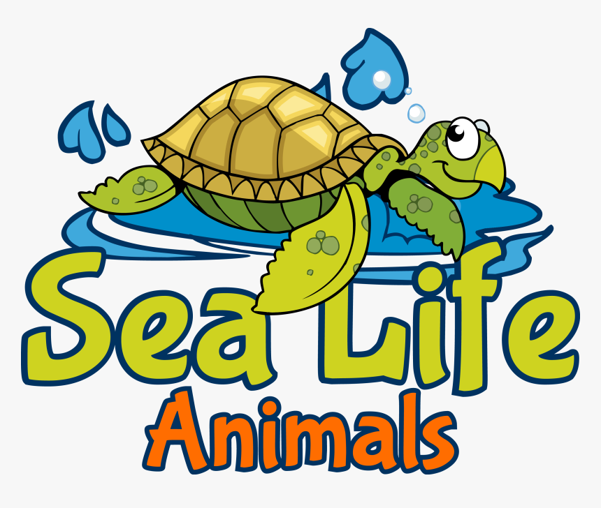 Clipart Turtle Sea Life, HD Png Download, Free Download