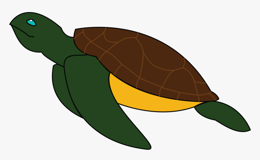 Green Sea Turtle Clipart , Png Download - Sea Turtle Clipart, Transparent Png, Free Download
