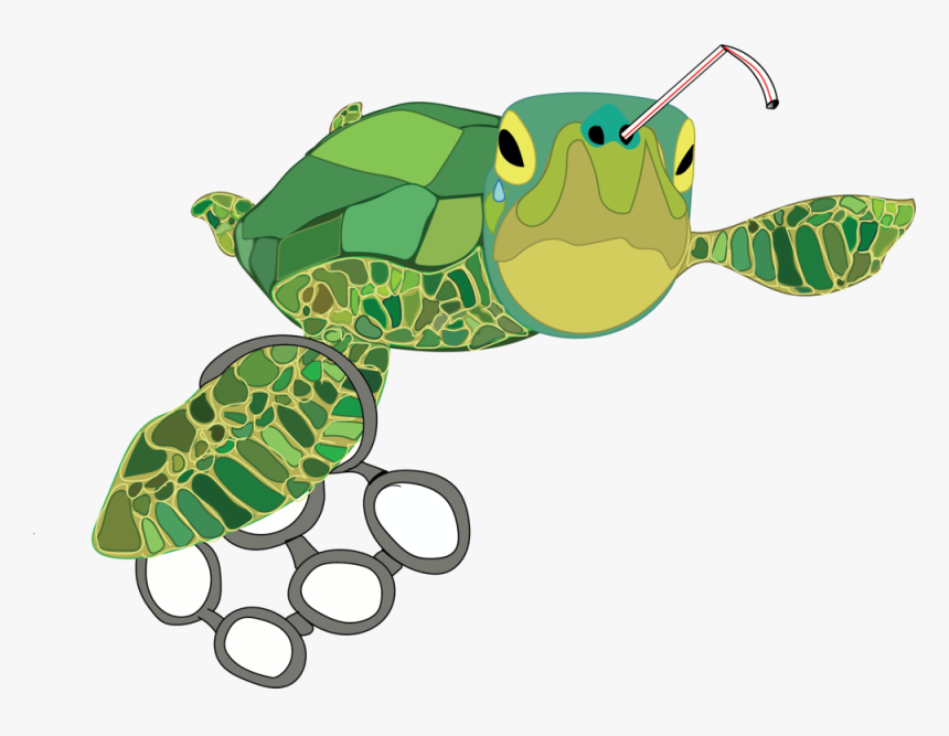 Turtle - Turtle In Plastic Clipart, HD Png Download, Free Download