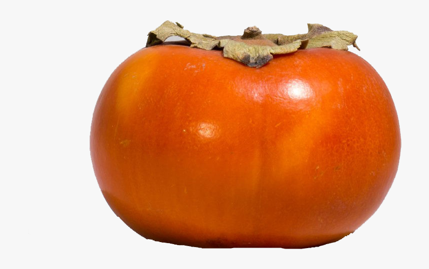 Persimmon Png - Bush Tomato, Transparent Png, Free Download