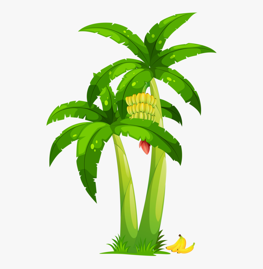 Funny Monkey Png Clipart Transparent Png , Png Download - Banana Tree Clipart Png, Png Download, Free Download