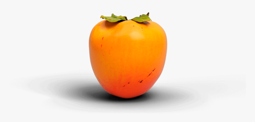 Plum Tomato, HD Png Download, Free Download