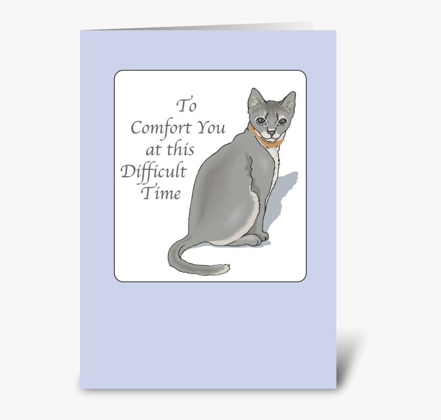 Cat Sympathy, Pet Loss, Grey Cat Greeting Card - Loss Of Pet Cat Sympathy, HD Png Download, Free Download