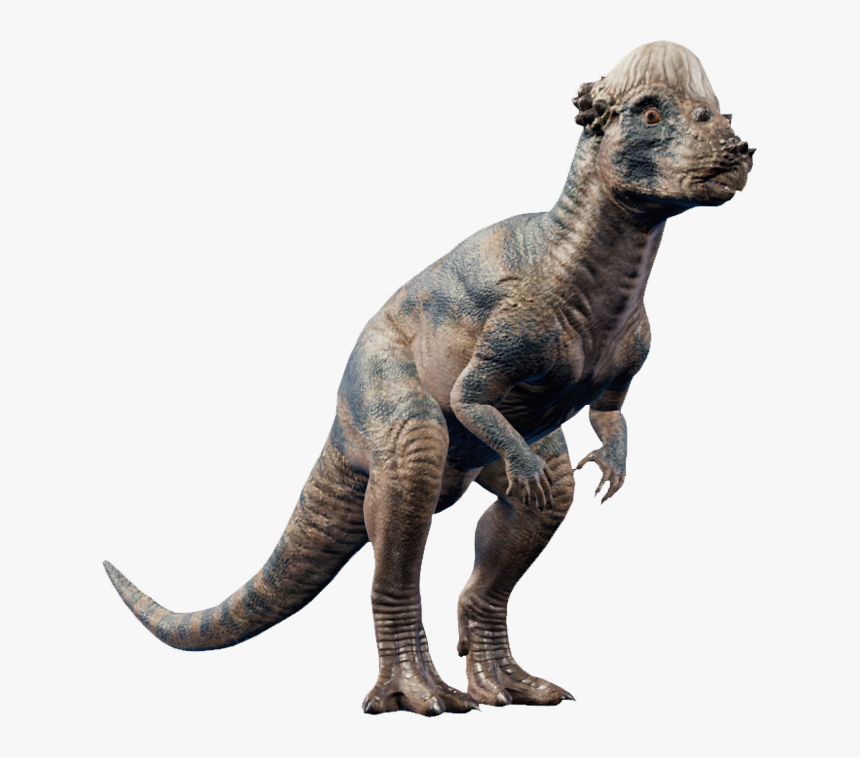   - Dinosaurio Con La Cabeza Dura, HD Png Download, Free Download