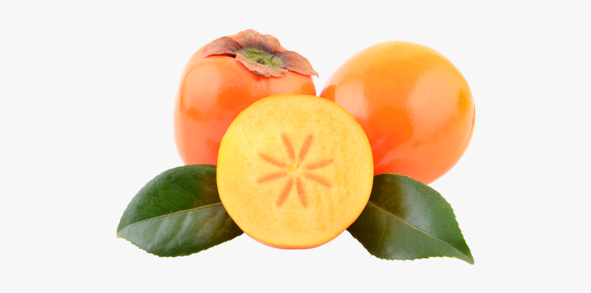 Persimmon Png, Transparent Png, Free Download