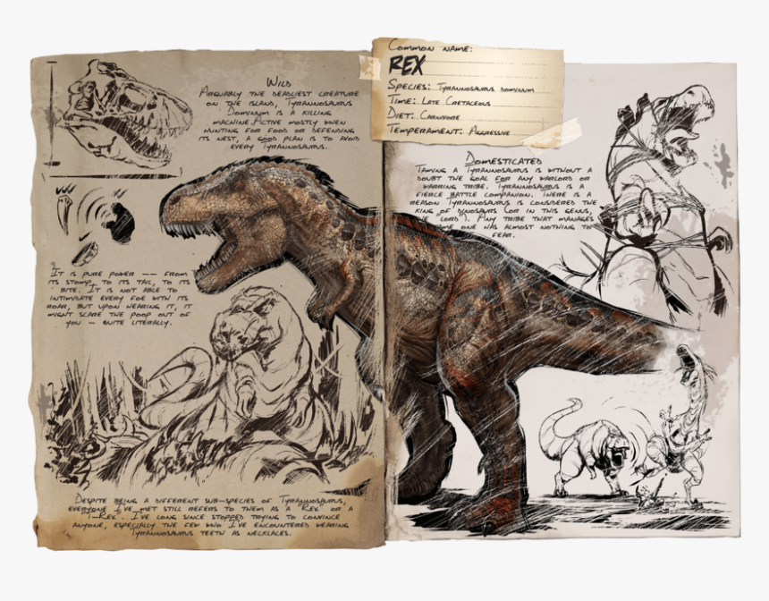 Dinosaur Head Png, Transparent Png, Free Download