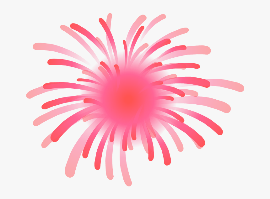 Transparent Fogos Png - Sea Anemone, Png Download, Free Download