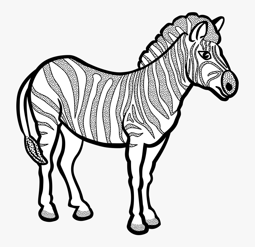 Zebra - Lineart - Line Art Of Zebra, HD Png Download, Free Download