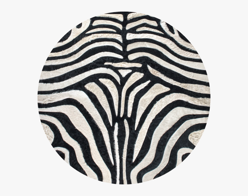 Zebra - Animal, HD Png Download, Free Download