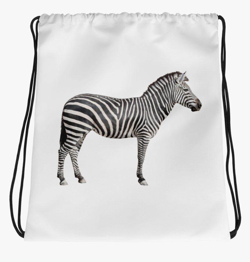 Transparent Zebra Print Png - Female Zebra White Background, Png Download, Free Download