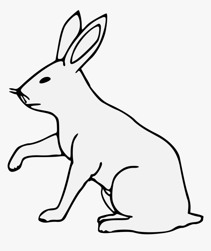 Domestic Rabbit, HD Png Download, Free Download