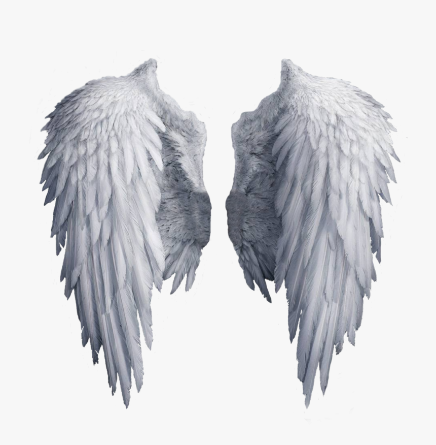 White Wings Png Image - Transparent Background Angel Wings Png, Png Download, Free Download