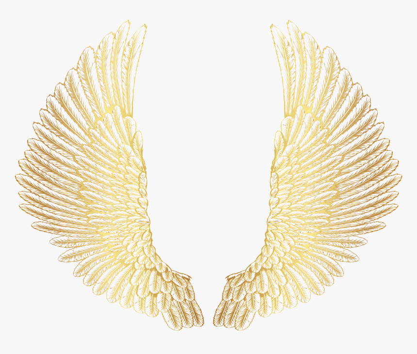 Wings Png , Png Download - Gold Angel Wings Png, Transparent Png, Free Download