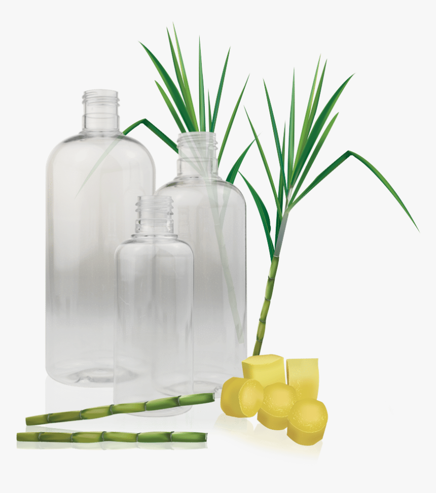 Bio Clear Bottles - Illustration, HD Png Download, Free Download