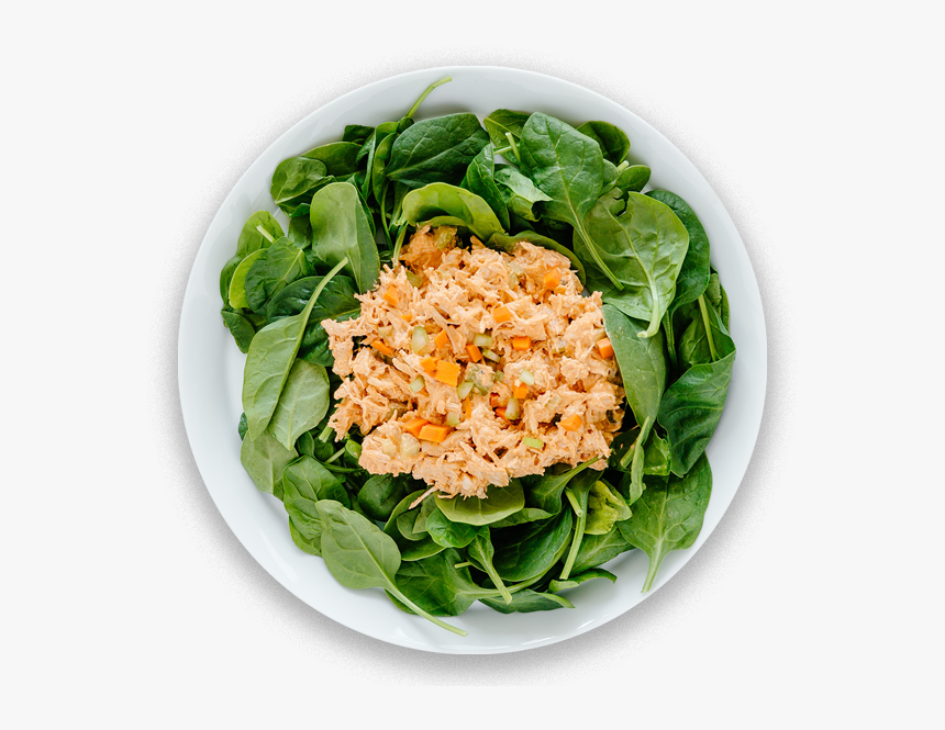 Tuna Salad, HD Png Download, Free Download