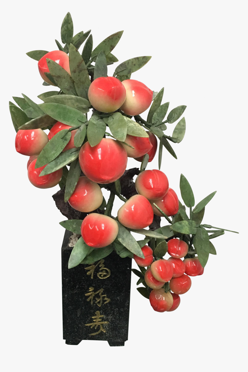 Peach Tree Png, Transparent Png, Free Download