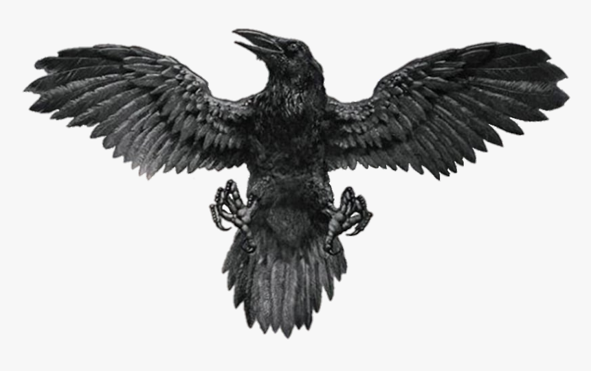 #tattoo #raven # Tattoos #tattos #tattooart #tattooed - Man Back Bird Tattoo, HD Png Download, Free Download