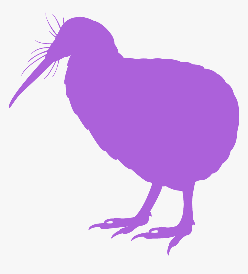 Red Kiwi Bird , Transparent Cartoons - Illustration, HD Png Download, Free Download