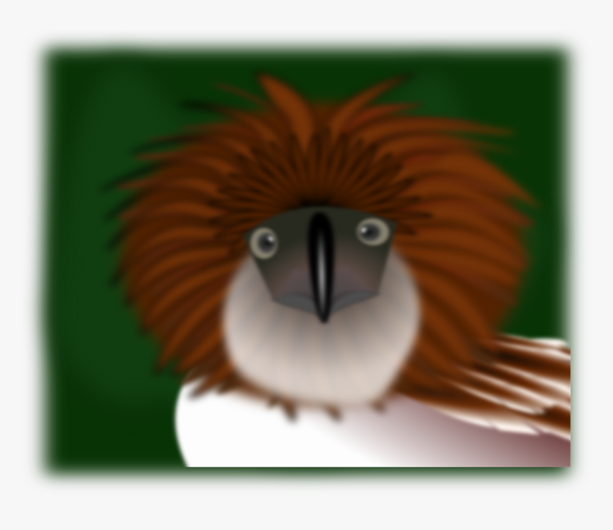 Philippine Eagle Cartoon, HD Png Download, Free Download