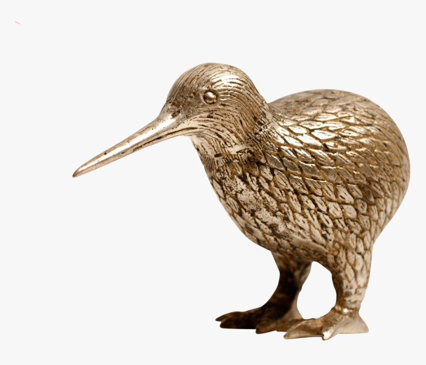 Transparent Kiwi Bird Png - Dowitcher, Png Download, Free Download