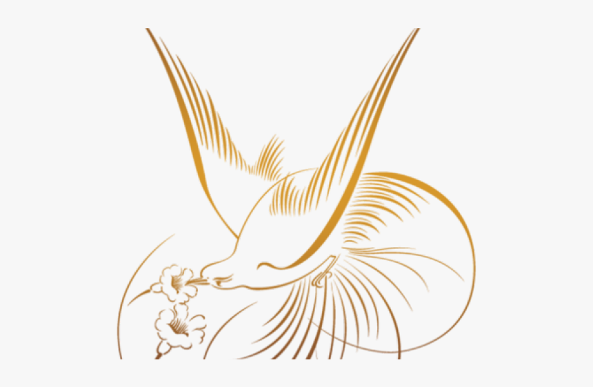 Kiwi Bird Clipart Golden - طرح خطی گل و مرغ, HD Png Download, Free Download