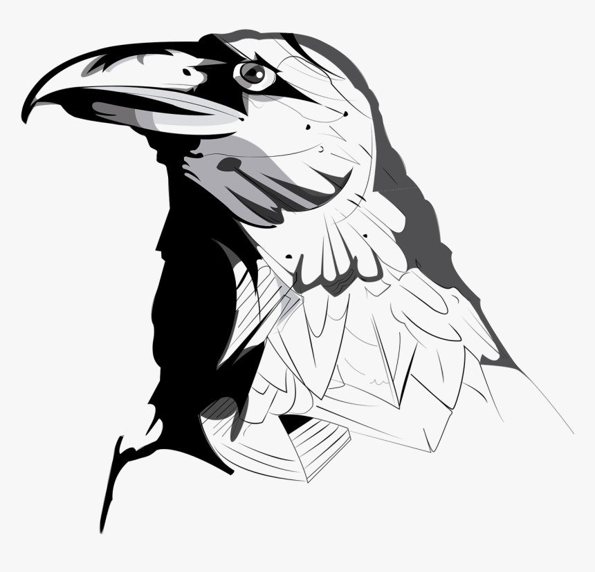 Black Crow Png -crow Ave Animal Free Picture - Crows Drawings, Transparent Png, Free Download