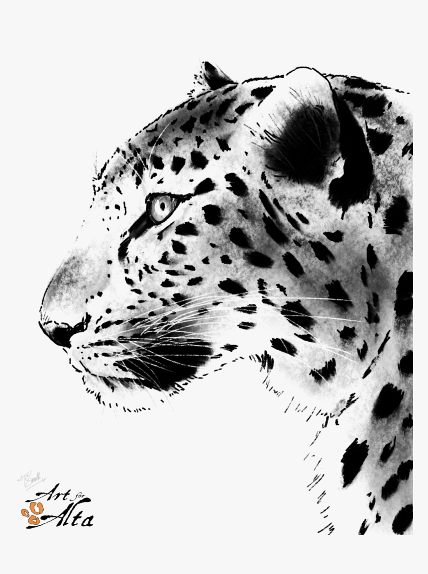 Leopard Face Png Picture - Animals Painting Black And White, Transparent Png, Free Download