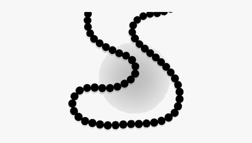 Colorful Beaded Neck Chain Png - Filipino Good Wood Necklace, Transparent Png, Free Download