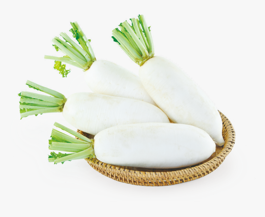 Daikon, HD Png Download, Free Download