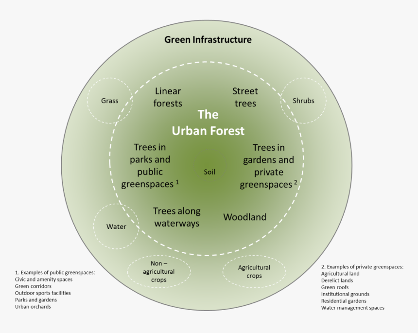 Examples Of Urban Forests, HD Png Download, Free Download