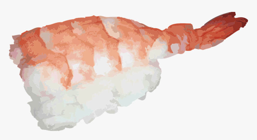 Ebi Sushi Png, Transparent Png, Free Download