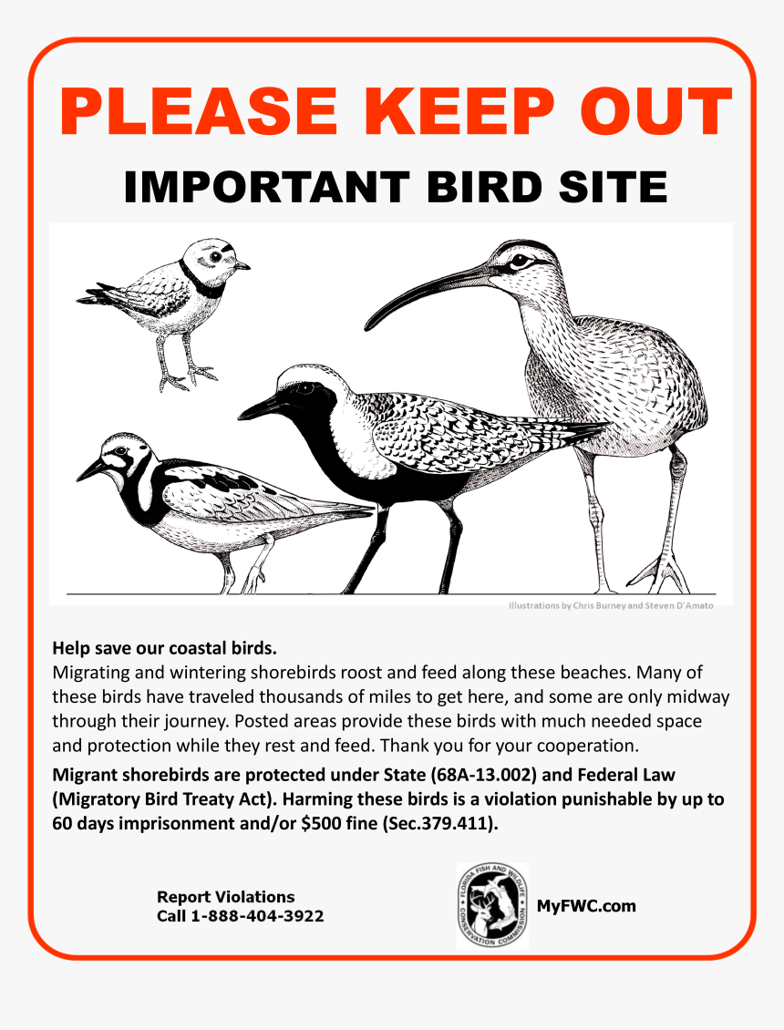 Shore Bird Protection Sign, HD Png Download, Free Download