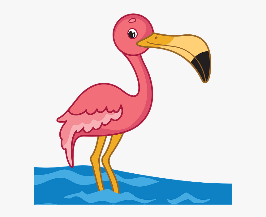 Water Bird, HD Png Download, Free Download