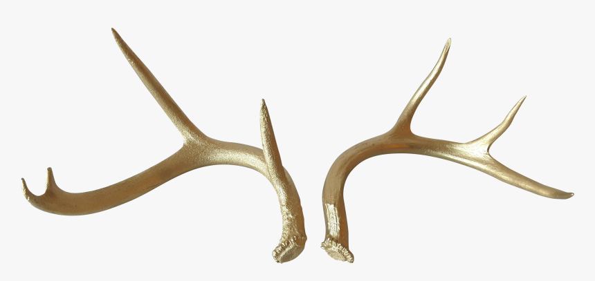 Clip Art Gold Painted Antlers A - Deer Antlers Transparent Png, Png Download, Free Download