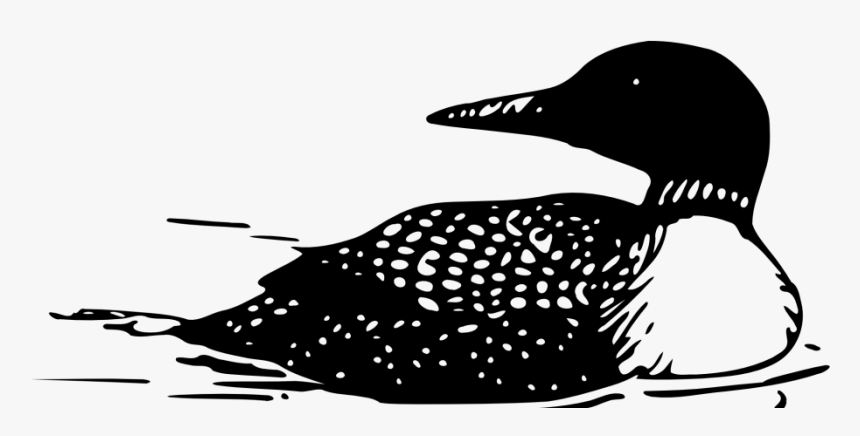 Loon Clip Art, HD Png Download, Free Download