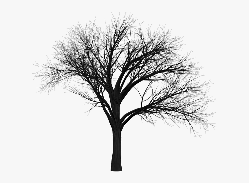 Scary Tree Png, Transparent Png, Free Download