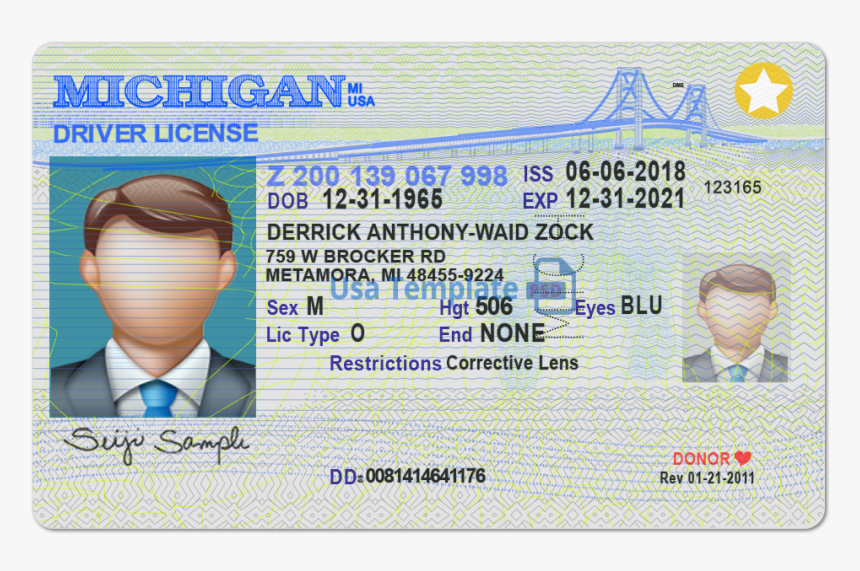 michigan enhanced drivers license