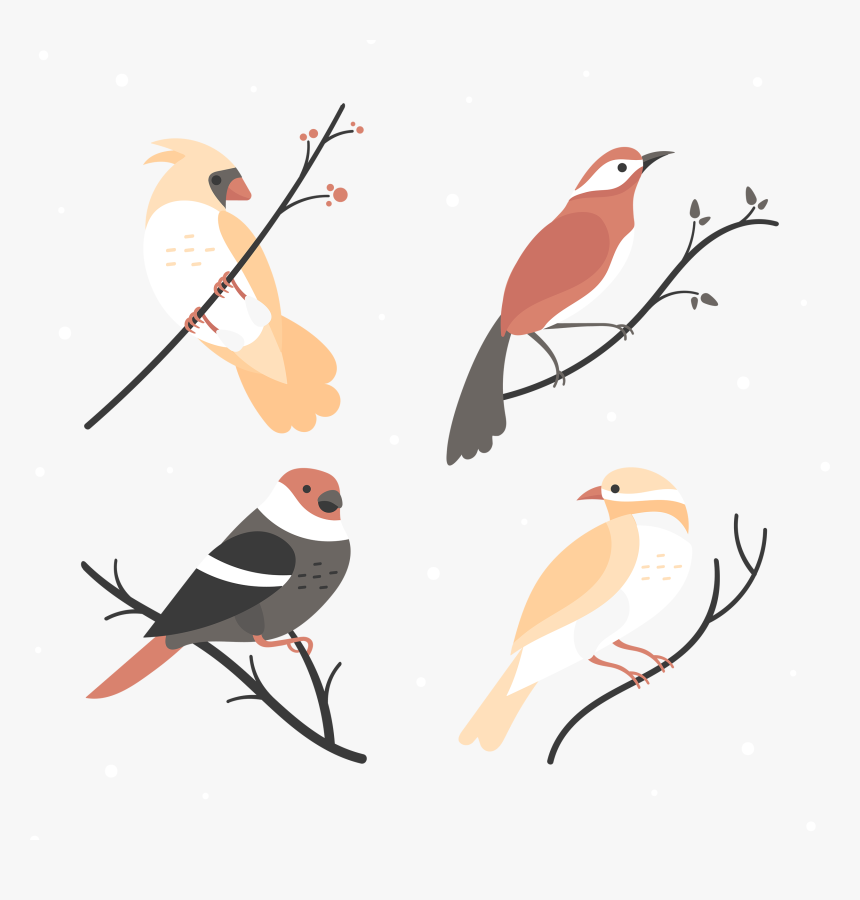 Bird Eurasian Magpie Vector Graphics Design - Cute Winter Vector, HD Png Download, Free Download