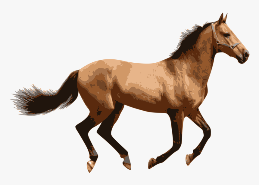Horse Lion Computer Icons Animal - Brown Horse Transparent Background, HD Png Download, Free Download