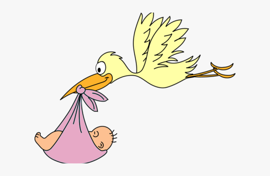 Pelican Clipart Baby - Stork Baby Clipart, HD Png Download, Free Download