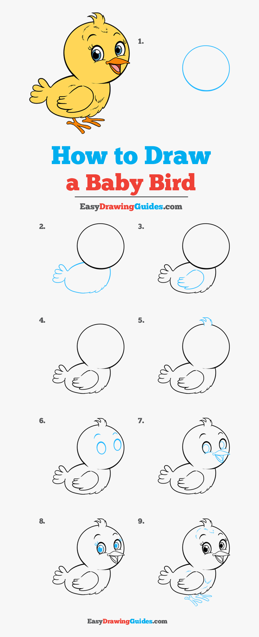 How To Draw Baby Bird - Step By Step Baby Elephant Drawing, HD Png Download, Free Download