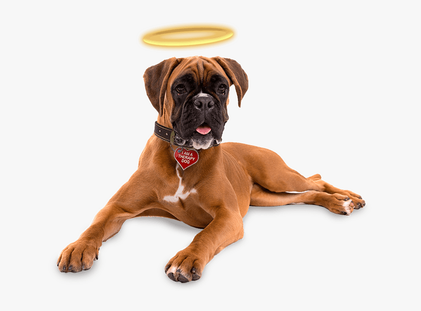 Dog Toothbrush Toy, HD Png Download, Free Download